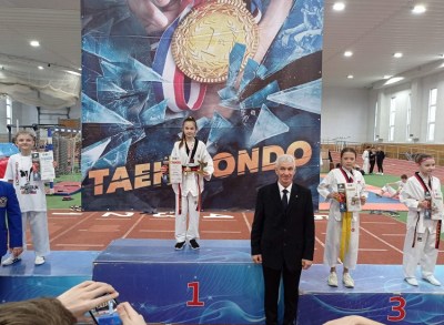Всероссийские соревнования по тхэквондо «Жемчужина Черноземья»