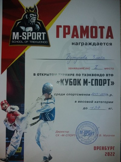 Турнир по тхэквондо ВТФ «Кубок М-СПОРТ»