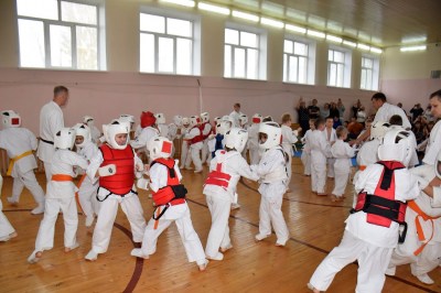 Физкультурно-спортивный праздник 