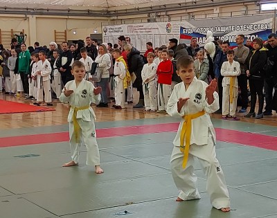 Чемпионат и Первенство Пензенской области по тхэквондо МФТ
