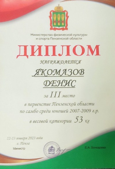 Первенство Пензенской области по борьбе самбо