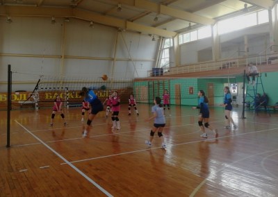 Открытый турнир ДЮСШ по волейболу