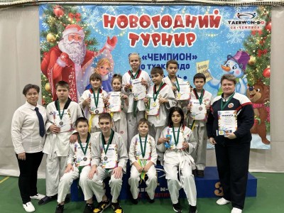 Новогодний турнир по тхэквондо ВТФ «Чемпион»