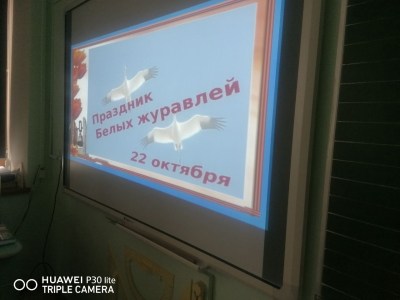 Акция «День белых журавлей»