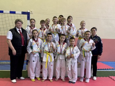Областной турнир по тхэквондо «Сурский рубеж»