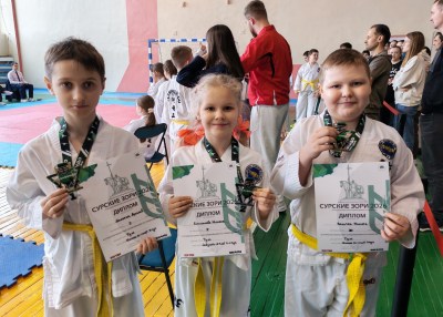 Областные соревнования по тхэквондо МФТ «Сурские зори»
